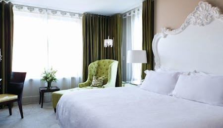 deluxe forsyth guest room