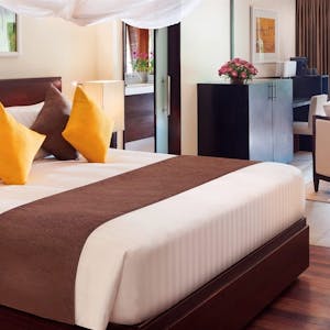 Deluxe Studio Suite