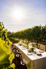 Dining in the Vines at Cape Lodge, Margaret River