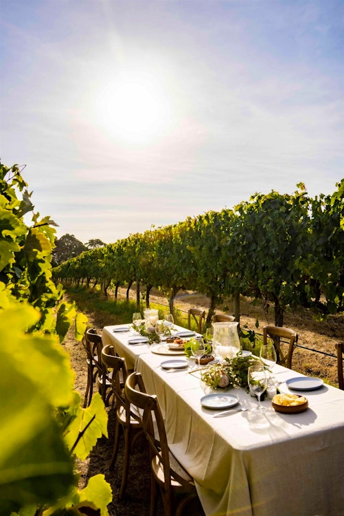 Dining in the Vines at Cape Lodge, Margaret River