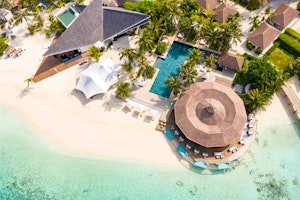 OZEN RESERVE BOLIFUSHI image 3