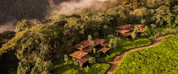 aerial view of Nyungwe Forest Lodge
