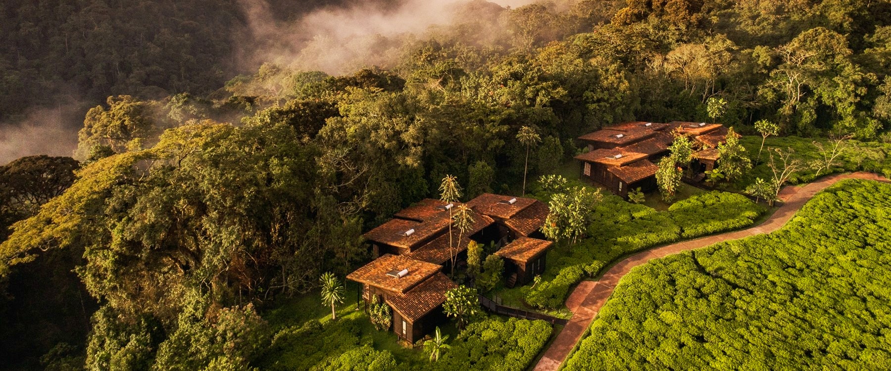 aerial view of Nyungwe Forest Lodge
