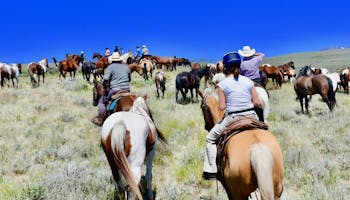 Horse Drives at Medicine Lodge Horse Drives at Silver Spur Ranch