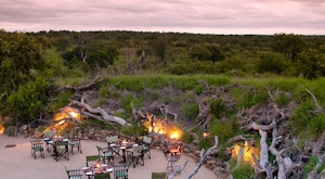 Spot the ‘Big Five’ on a private game reserve and unwind on the pristine beaches of Mauritius<place>South Africa Safari with Mauritius</place><fomo>276</fomo>