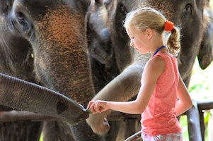 Thailand for Families image 1