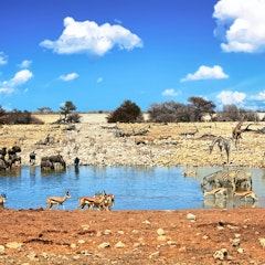 Etosha National Park