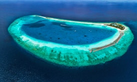 This Maldives resorts has a huge choice of dining options to suit all tastes<place>Seaside Finolhu Baa Atoll Maldives</place><fomo>9</fomo>
