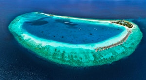 This Maldives resorts has a huge choice of dining options to suit all tastes<place>Seaside Finolhu Baa Atoll Maldives</place><fomo>9</fomo>
