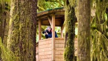 Sonora Resort image 2