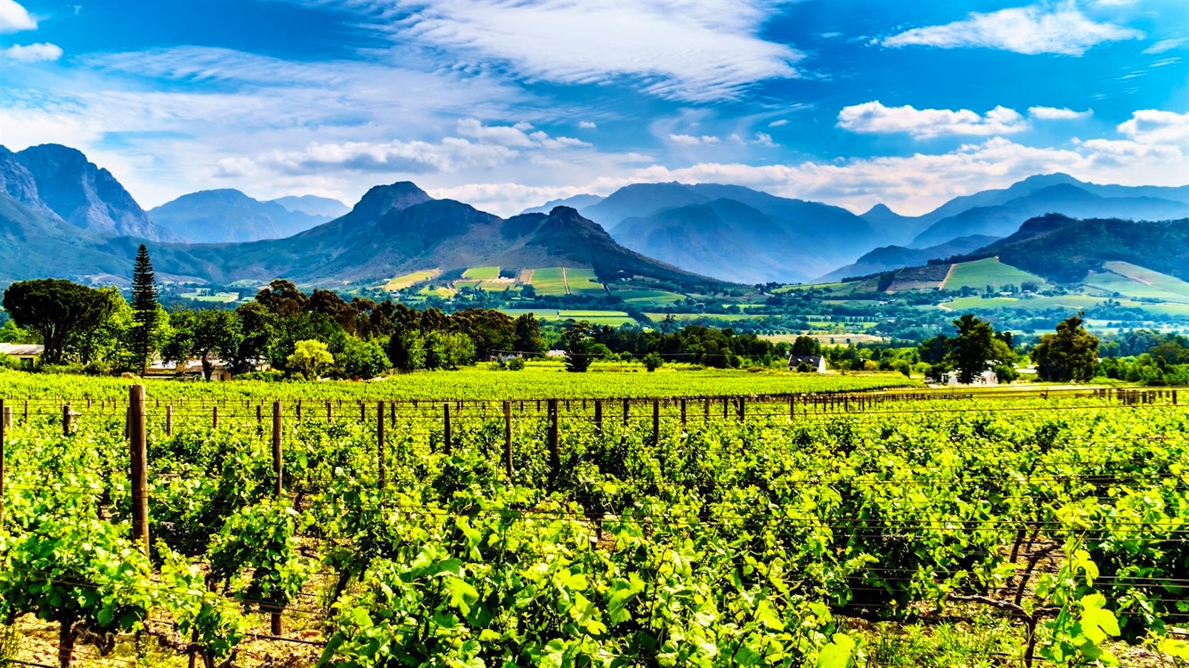 Franschhoek Valley, Ultimate Luxury in South Africa, Tailor-made Tour Day 6