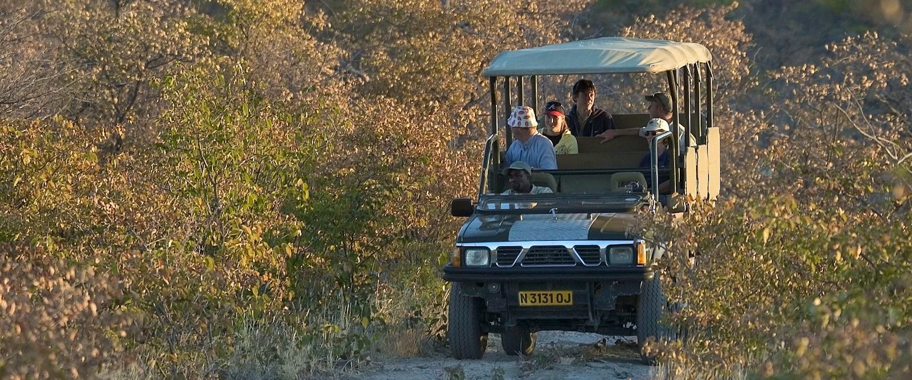 Game drive at Little Ongava Lodge