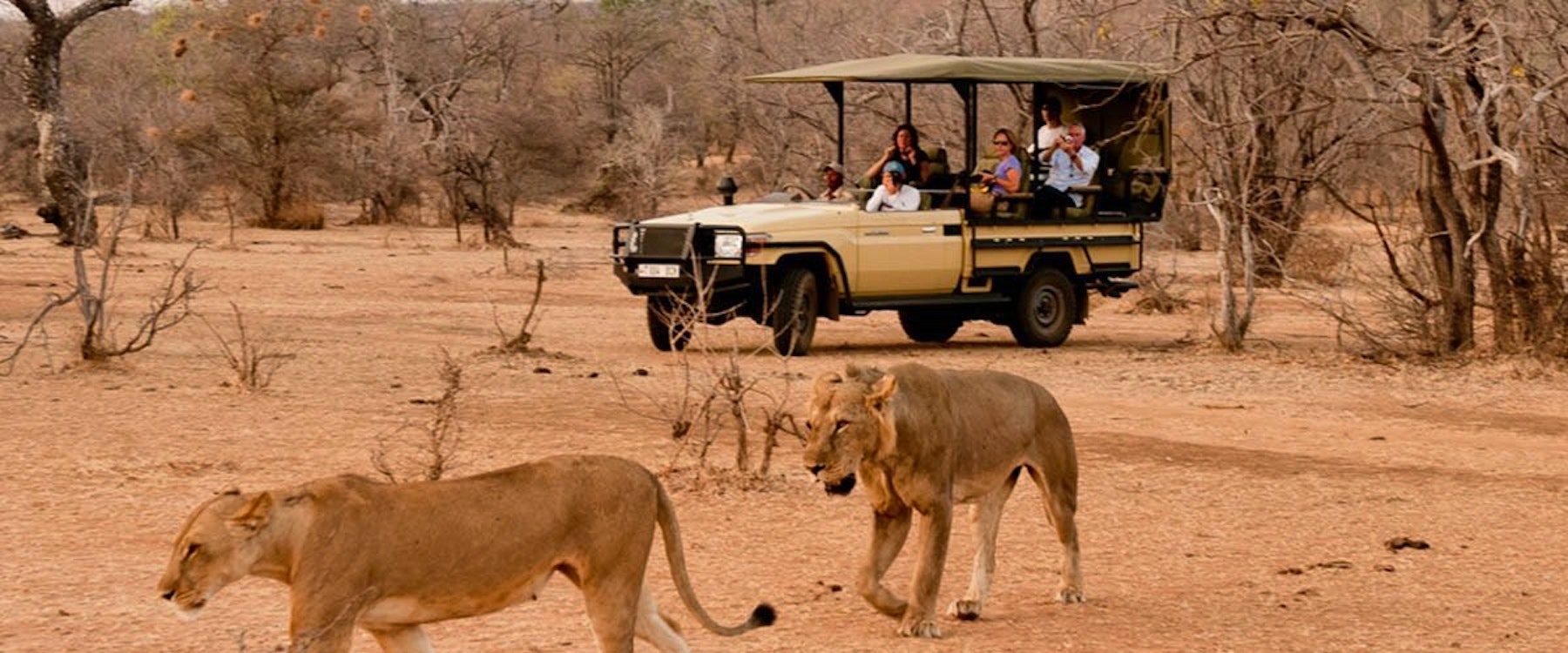 Game drive at Azura Selous Game Reserve