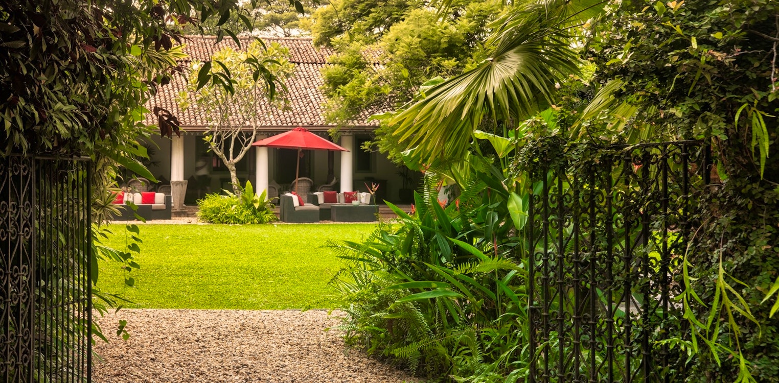 Garden, The Wallawwa, Colombo, Sri Lanka