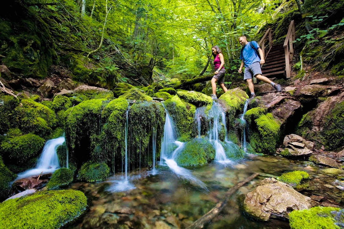 Fundy National Park hiking trails