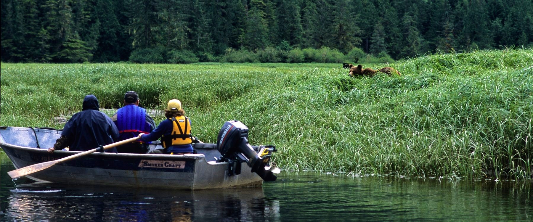 Grizzly bear watching at Great Bear Lodge