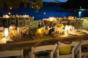 Guana Island image 3