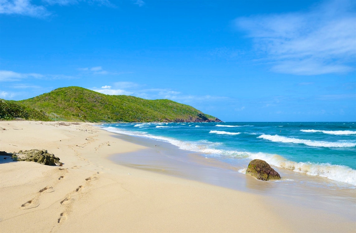 guana island british virgin islands