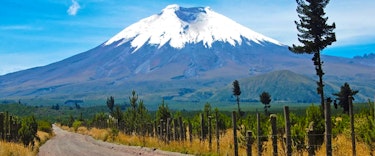 Ecuador and the Galapagos