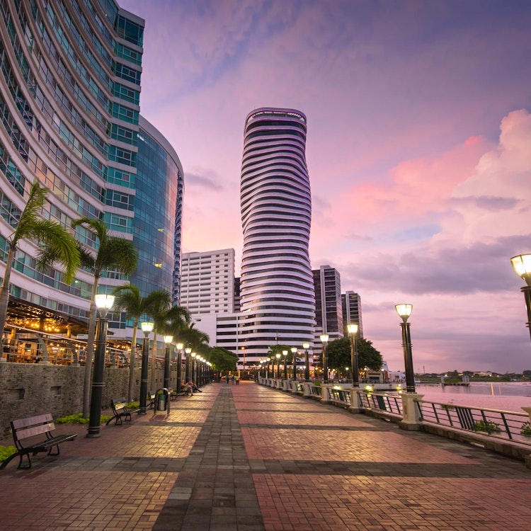 galapagos  guayaquil