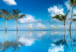Infinity Pool Daytime at Half Moon, Jamaica