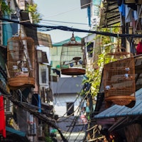 Discover Vietnam image 3