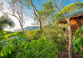 Thala Beach Nature Reserve image 2