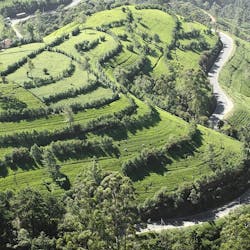 Heritance Tea Factory Hotel, Nuwara Eliya