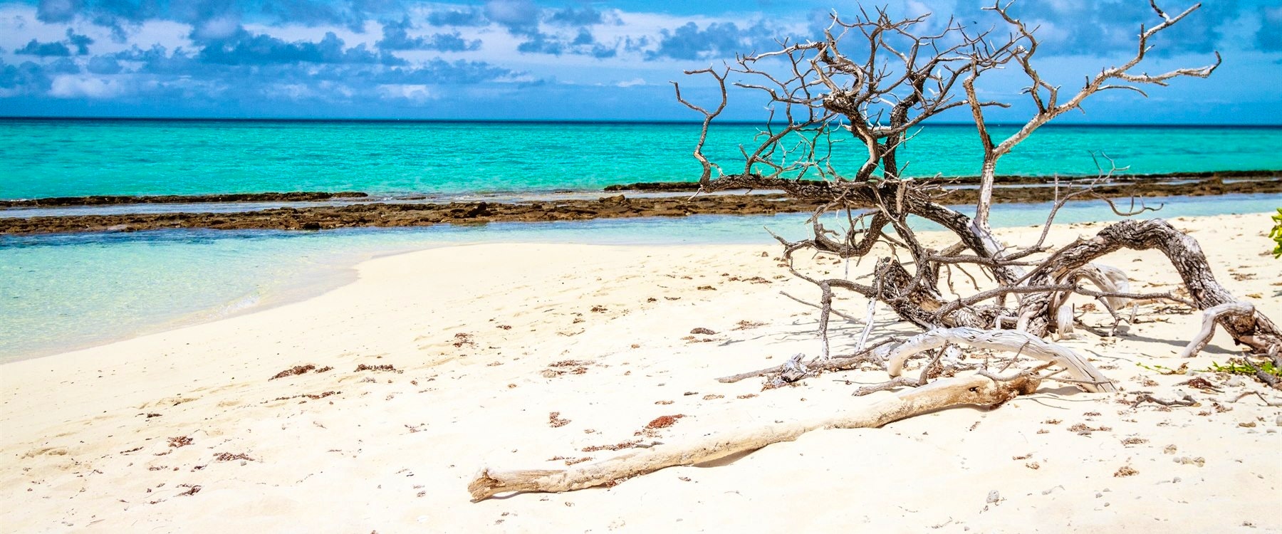 agnes water to gladstone heron island