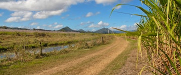 (Heron Island) Gladstone to Mackay (275 miles)