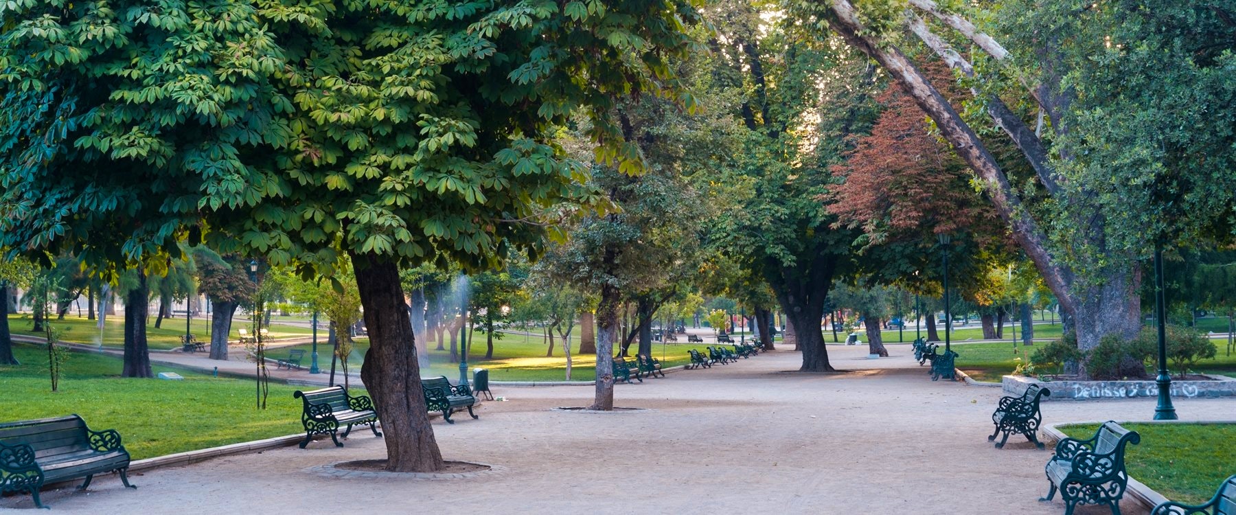 Neighbourhood, The Singular Santiago