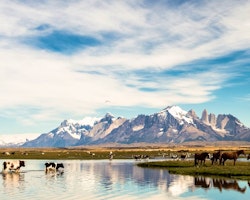 View of the Mountain at The Singular Patagonia
