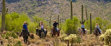 White Stallion Guest Ranch 