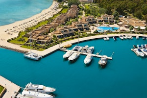 Sani Asterias image 2