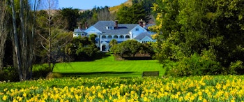 Otahuna Lodge image 1