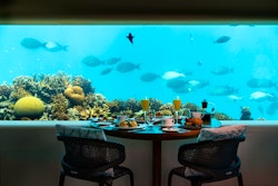 Underwater breakfast