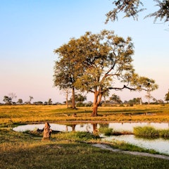 Hwange National Park - Zimbabwe