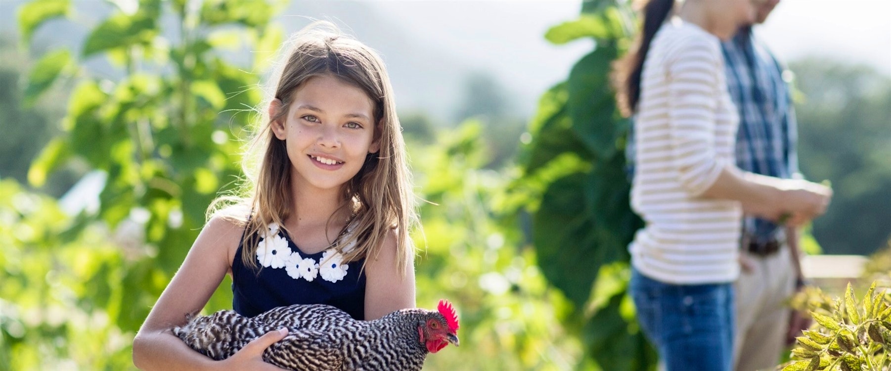 Family Fun at Carmel Valley Ranch, California 