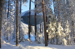 Treehotel image 3