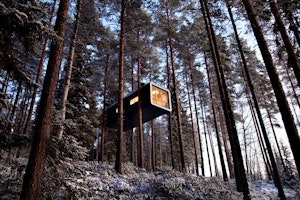 Treehotel image 2