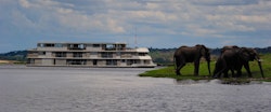 Elephant viewing on Zambezi Queen