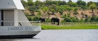 Zambezi Queen 