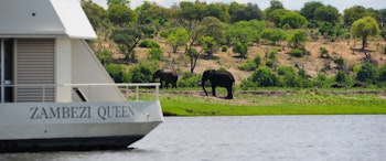 Zambezi Queen  image 1