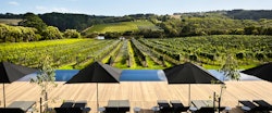 Vineyard Views at Jackalope Hotel Mornington Peninsula, Victoria, Australia