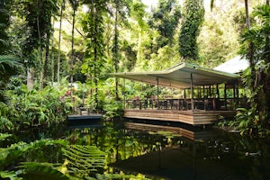 Daintree Eco Lodge  image 1