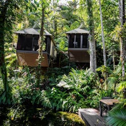 daintree eco lodge and spa