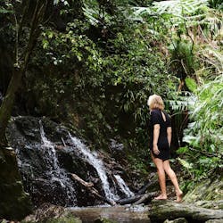 waterfall daintree eco lodge and spa