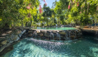 Thala Beach Nature Reserve image 3