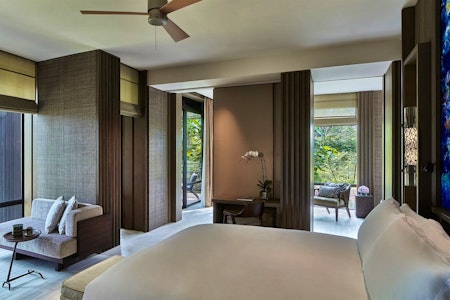 Rainforest Junior Suite