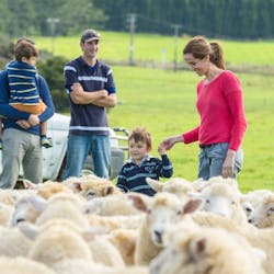 Farm Tour at The Lodge at Kauri Cliffs, New Zealand